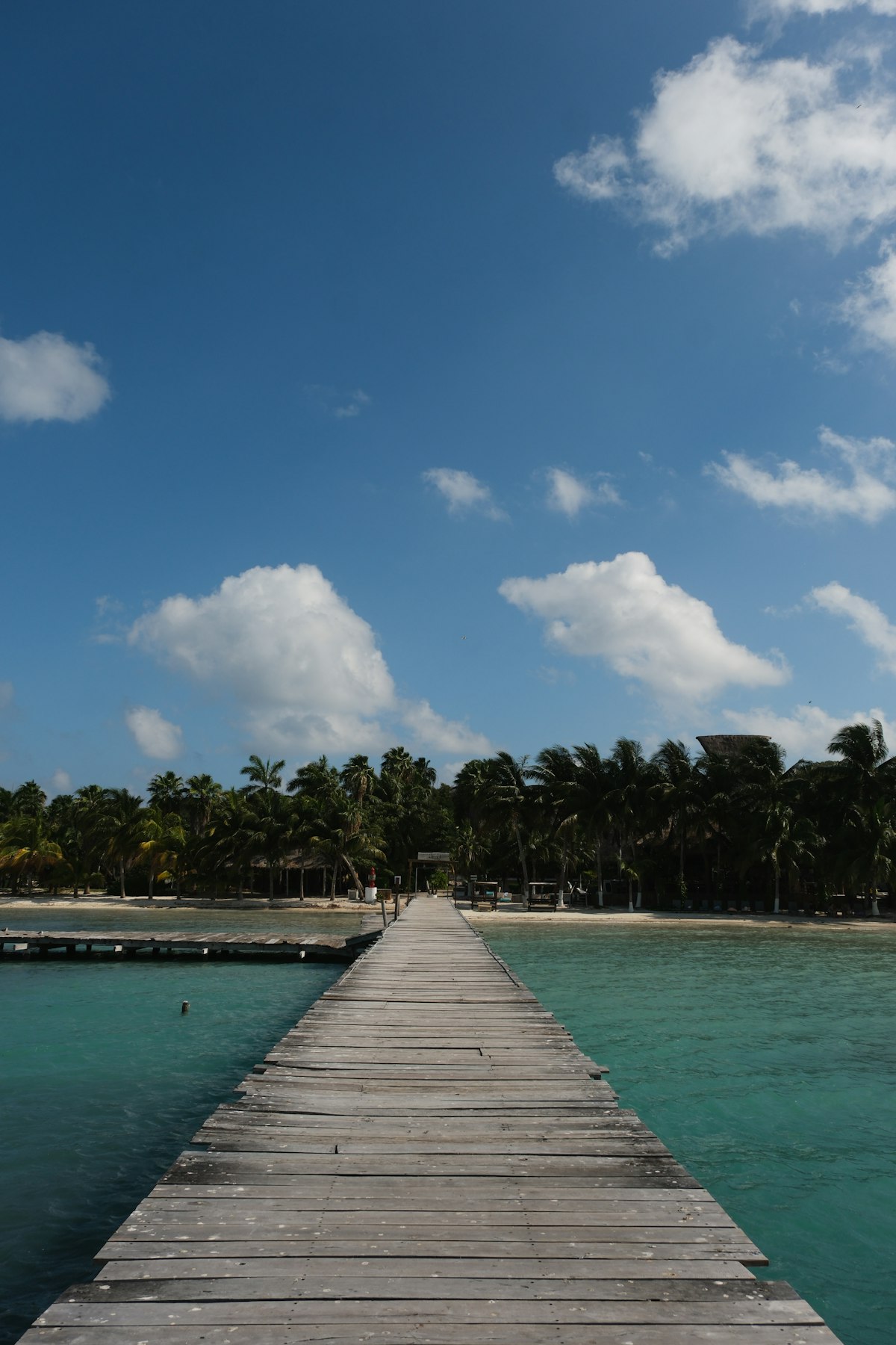 Cancun Airport to Isla Mujeres Ferry Transfer
