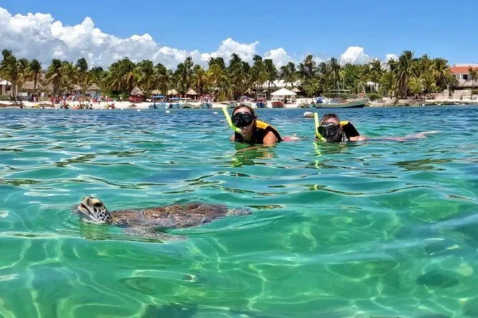 Esnórquel con tortugas marinas en la bahía de Akumal, Riviera Maya