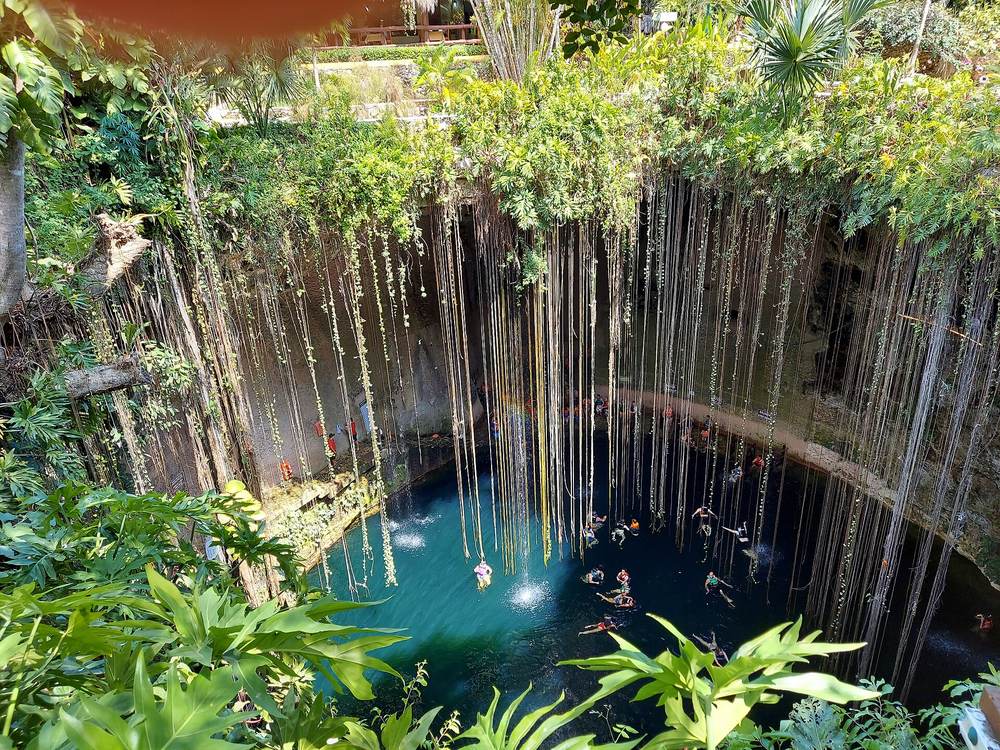 Hanging roots and jungle plants over the deep blue water of Cenote Ik Kil