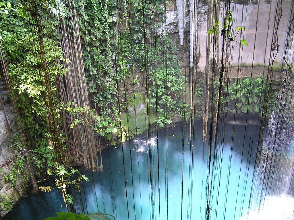 Hanging roots and vines falling into the turquoise water of Cenote Ik Kil